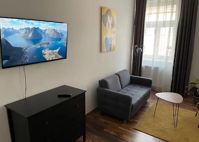 Apartment Gesamte In Zentrumsnähe