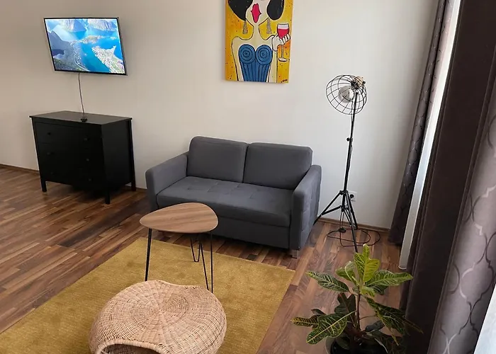 Apartment Gesamte In Zentrumsnähe